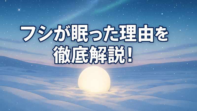 フシ 眠った 理由